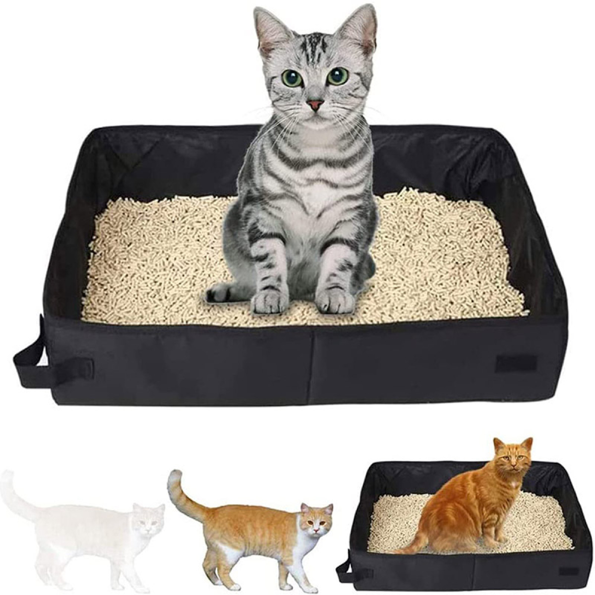 Cat sitting in the foldable black travel litter box filled with litter
