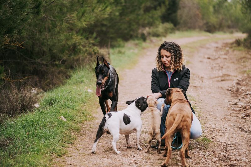 Dogs